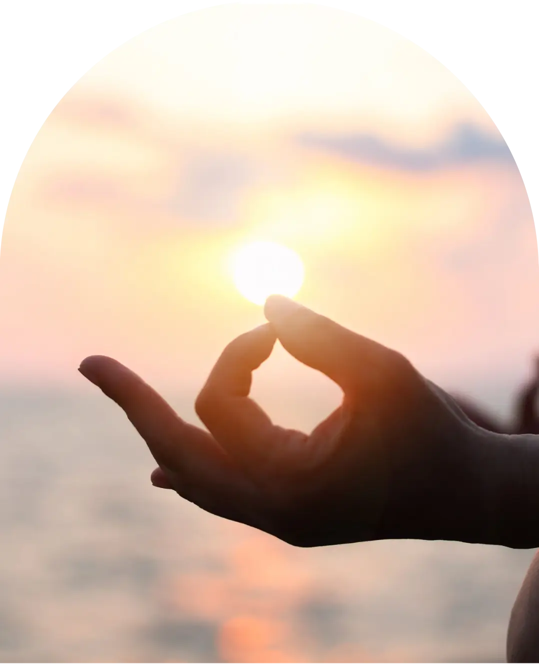 Wellness & Relaxation