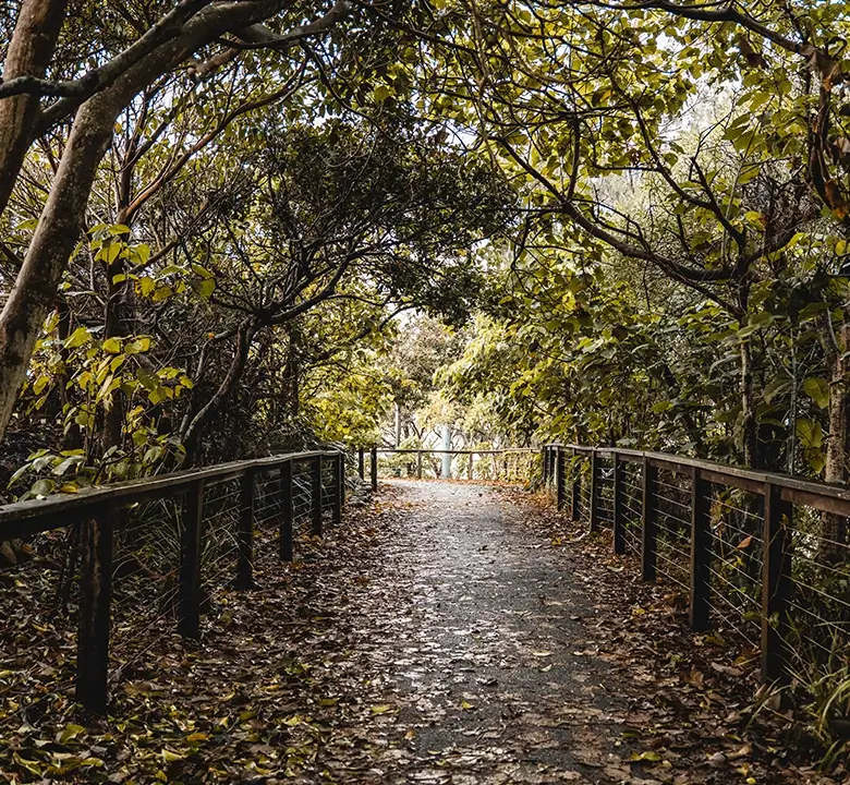 burleigh-headland-walk