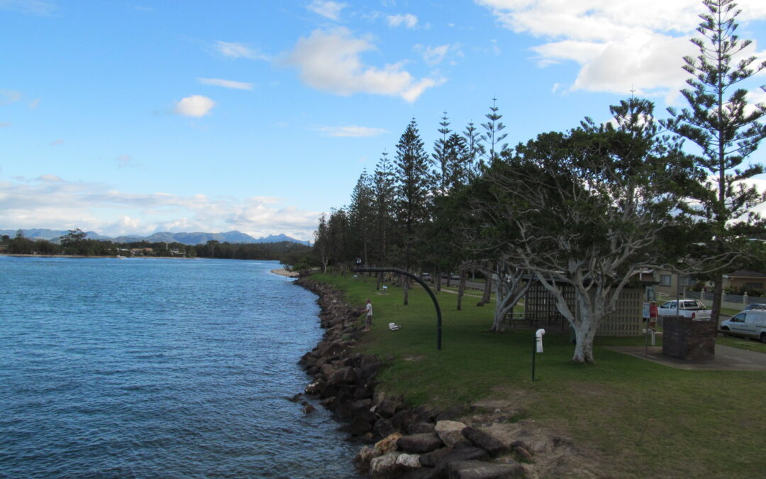 Tallebudgera Creek foreshore with grassy parkland and Norfolk pines near Burleigh Heads
