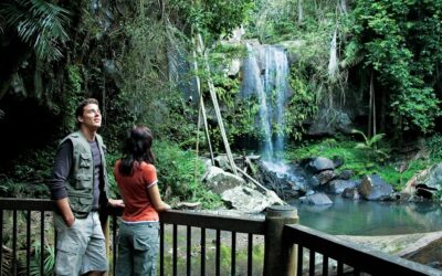 A Tamborine Mountain day from Burleigh: wineries, walks and the drive